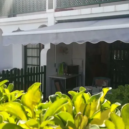 Dunaflor Verde *