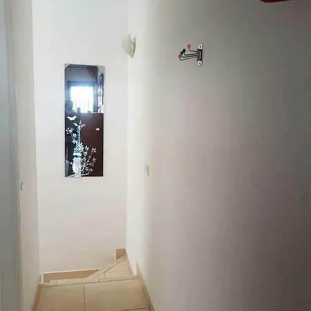 Dunaflor Verde *